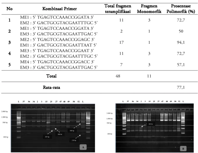 Tabel 3. Total fragmen DNA hasil amplifikasi dengan menggunakan 5 primer SRAP dan prosentase fragmen  polimorfik pada 13 aksesi tempuyung