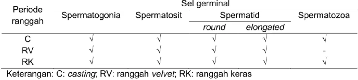 Tabel 16 Tipe sel germinal tubuli seminiferi muncak yang ditemukan pada  jaringan testis hasil biopsi 