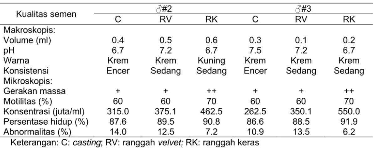 Tabel 19 Kualitas semen muncak selama periode pertumbuhan ranggah  Kualitas semen  ♂#2  ♂#3  C  RV  RK  C  RV  RK  Makroskopis:  Volume (ml)  0.4  0.5 0.6 0.3 0.1  0.2  pH 6.7  7.2 6.7 7.5 7.2 6.7 