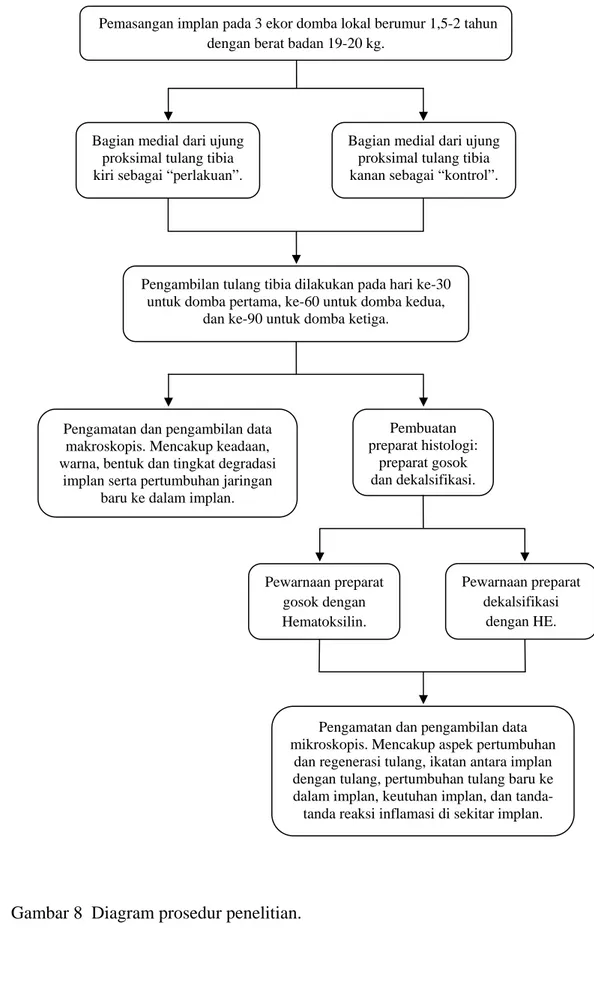 Gambar 8  Diagram prosedur penelitian. 