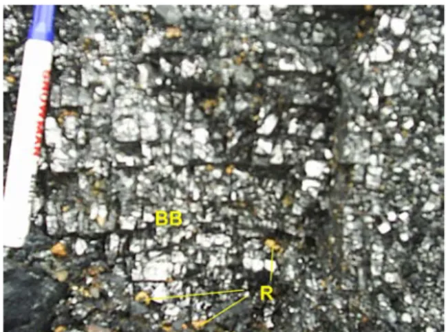 Gambar  10.  Foto  singkapan  batubara  yang  memperlihat  kilap  seperti  logam  (BB),  diperkirakan  karena  efek   tero-bosan  sill andesit pofir, mengandung resin (R)