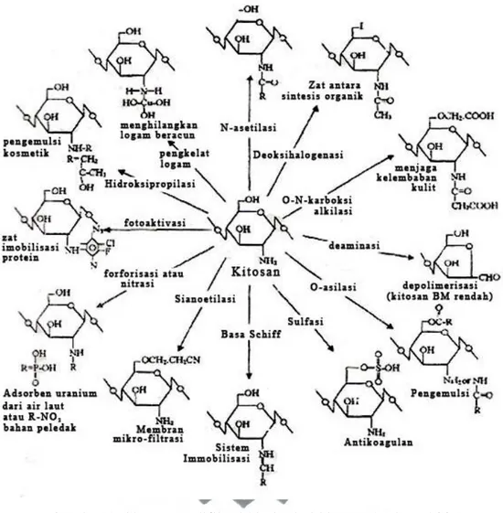 Gambar 3. Skema modifikasi kimia dari kitosan (Kaban, 2009)  3.  Kitosan-vanilin sebagai Membran Polimer Elektrolit 