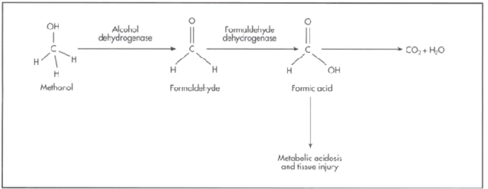 Gambar 1. Metabolisme metanol 3