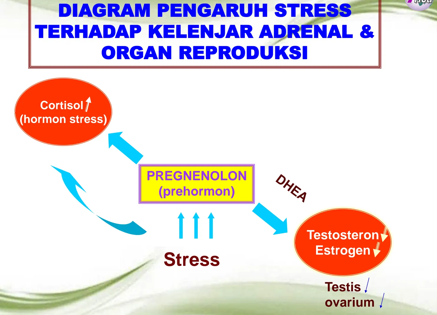 DIAGRAM PENGARUH STRESS 