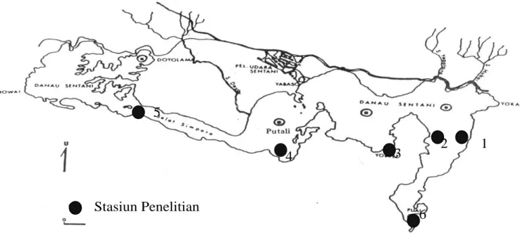 Gambar 1. Lokasi penelitian di danau Sentani  diambil  selama  1  bulan,  mulai  bulan  Oktober 