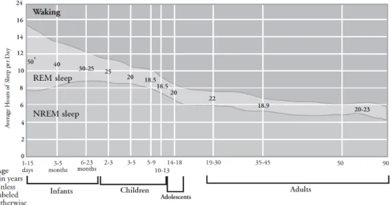 Gambar 1 : Perbandingan fase tidur NREM dan REM pada berbagai umur  (Roberts, 2009) 