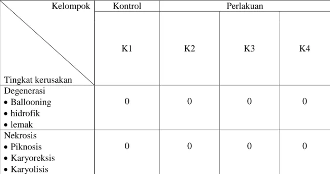 Tabel  2.  Tingkat  kerusakan  struktur  mikroanatomi  Ginjal    tikus  putih  (Rattus  norvegicus L) jantan  Kelompok  Tingkat kerusakan  Kontrol  Perlakuan K1 K2 K3  K4  Degenerasi   Ballooning   hidrofik   lemak  0  0  0  0  Nekrosis   Piknosis   K