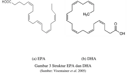 Gambar 3 Struktur EPA dan DHA  (Sumber: Visentainer et al. 2005) 