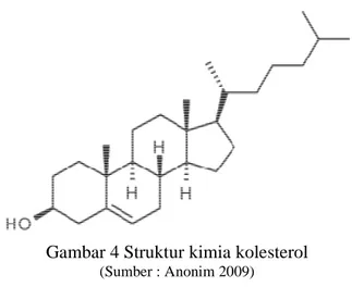Gambar 4 Struktur kimia kolesterol  (Sumber : Anonim 2009) 