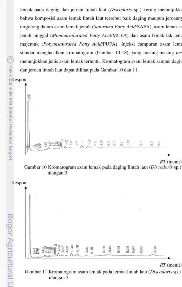 Gambar 10 Kromatogram asam lemak pada daging lintah laut (Discodoris sp.)             ulangan 3 