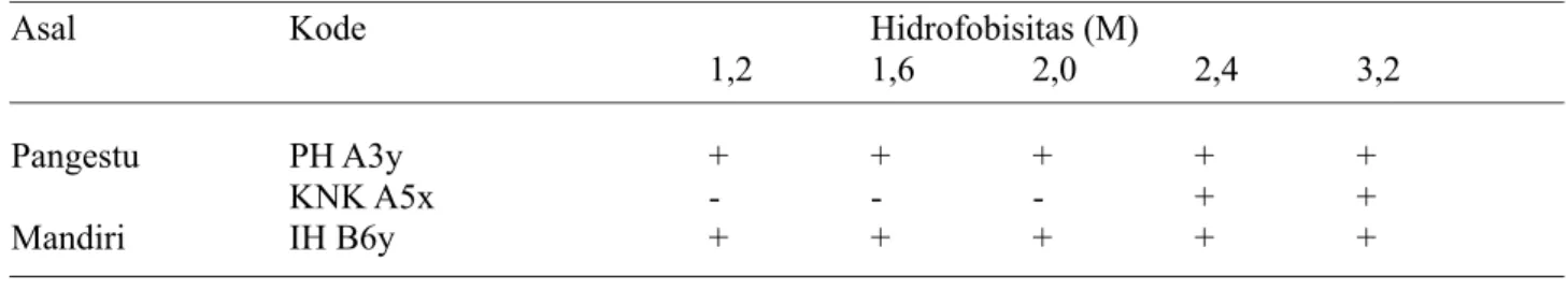 Tabel  6.  Data hasil uji hidrofobisitas Escherichia coli isolat kambing PE dari peternakan di Sleman dengan  metode SAT
