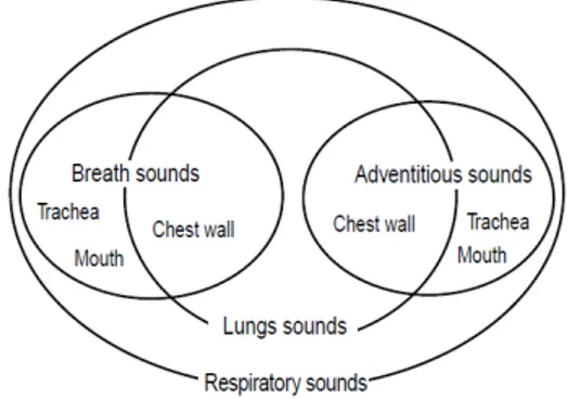 Gambar 2.1 Hubungan antara suara pernafasan, suara paru-paru, suara nafas,  dan suara tambahan (Sovijarvi, A.R.A., et al, 2000) 