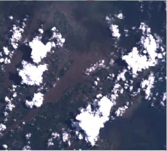 Gambar 6. Citra Landsat-7 ETM+ H asil Konversi  (Liputan Tanggal 19 April 2002)   di Sekitar Muara Sungai Mahakam.