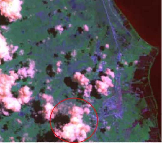 Gambar 11. Citra Satelit Landsat-7 ETM+ (Liputan Tanggal 19 April 2002) 