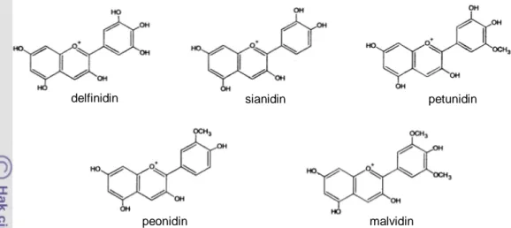 Gambar 3.2  Struktur antosianidin buah duwet. Struktur antosianidin berdasarkan                       sitasi dari Brouillard (1982)