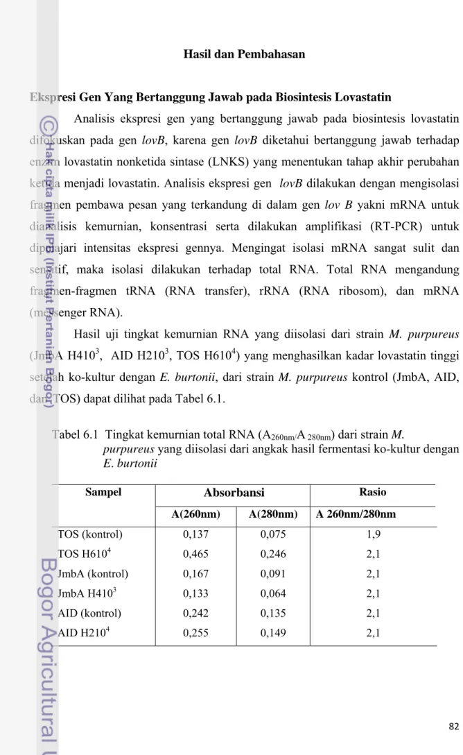 Tabel 6.1  Tingkat kemurnian total RNA (A 260nm/ A  280nm ) dari strain M.   