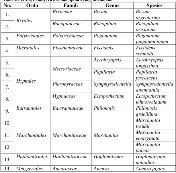 Tabel 4.1 Ordo, Family, Genus dan Spesies yang ditemukan. 