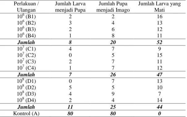 Tabel 3.  Jumlah  Larva  P.  xylostella  yang  Berhasil  Menjadi  Pupa  dan  Jumlah  Pupa yang Berhasil Menjadi Imago