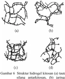 Gambar 6  Struktur hidrogel kitosan (a) tautan  silang antarkitosan, (b) jaringan  polimer hibrida, (c) jaringan  semi-IPN, (d) tautan silang ionik kitosan  (Berger et al