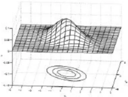 Gambar 12 Contoh permukaan fungsi densitas peluang Gaussian  d-2 