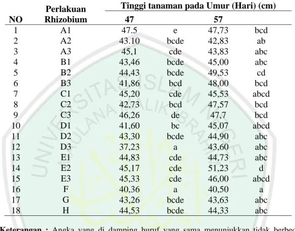 Tabel  6. Pengaruh macam formula multi isolat Rhizobium terhadap tinggi    tanaman pada umur 57  hari (cm) 