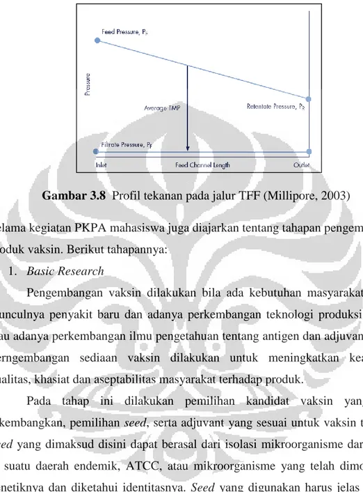 Gambar 3.8  Profil tekanan pada jalur TFF (Millipore, 2003) 