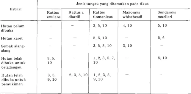 Tabel  3,  Infestasi  tungau  trombiculidae  pada  tikus  yang  tertangkap  pada  habitat  berbeda  di  desa  transmigrasi UPT-I  Kumpeh, Jambi,  Agustus  1985 -  Januari  1986