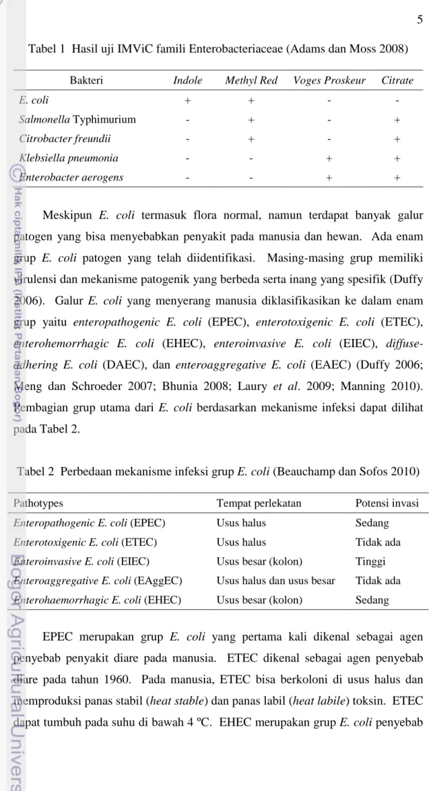 Tabel 1  Hasil uji IMViC famili Enterobacteriaceae (Adams dan Moss 2008)  Bakteri  Indole  Methyl Red  Voges Proskeur  Citrate 