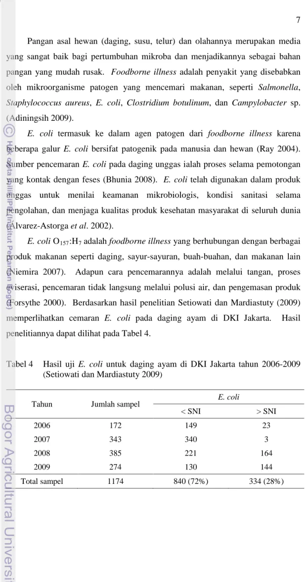 Tabel 4  Hasil uji E. coli  untuk daging ayam di DKI Jakarta tahun 2006-2009  ( Setiowati dan Mardiastuty 2009 ) 