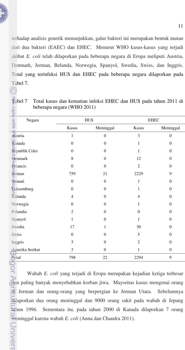 Tabel 7  Total kasus dan kematian infeksi EHEC dan HUS pada tahun 2011 di  beberapa negara (WHO 2011) 