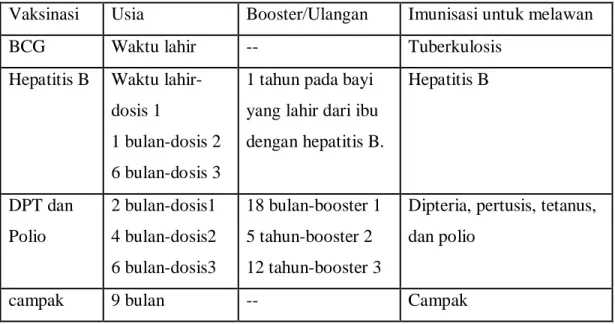 Tabel 2.1 : Jadwal imunisasi rekomendasi Ikatan Dokter Anak Indonesia (IDAI)     Usia  Booster/Ulangan  Imunisasi untuk melawan 