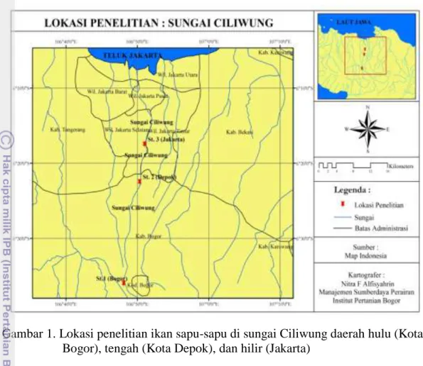 Gambar 1. Lokasi penelitian ikan sapu-sapu di sungai Ciliwung daerah hulu (Kota  Bogor), tengah (Kota Depok), dan hilir (Jakarta) 