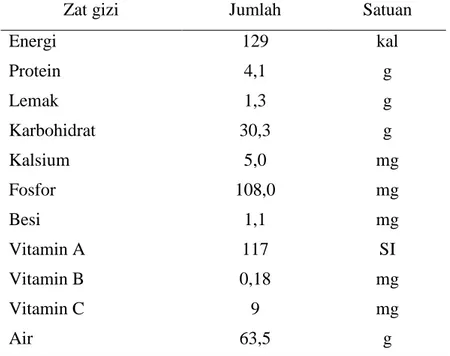 Tabel 3 Kandungan zat gizi jagung tiap 100 gram berat yang dapat dimakan 