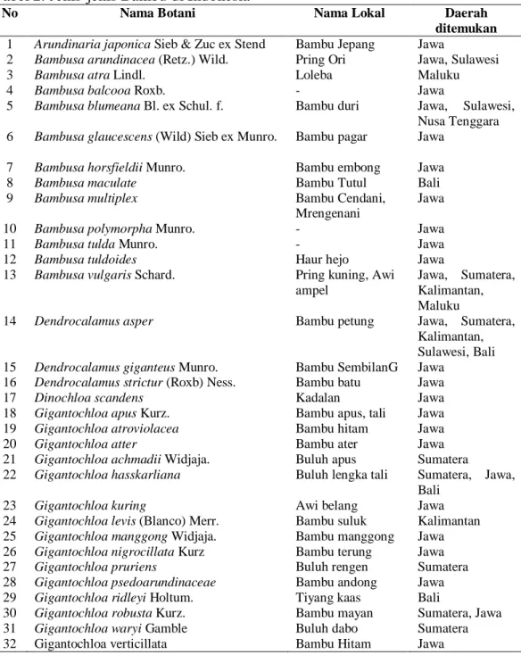 Tabel 2. Jenis-jenis Bambu di Indonesia 