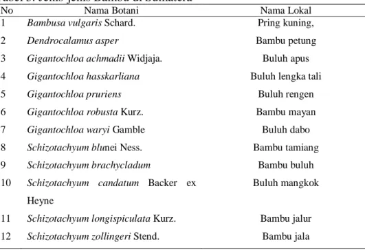 Tabel 3. Jenis-jenis Bambu di Sumatera 