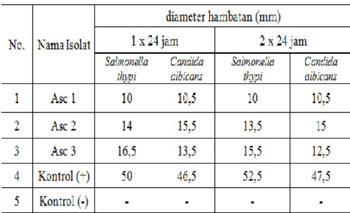 Tabel  3.  Hasil  pengukuran  diameter  hambatan  isolat  jamur  simbion  tunikata  setelah  dishaker  selama  7x24  jam  dengan  waktu  inkubasi  selama  1x24  jam  dan  2x24 jam