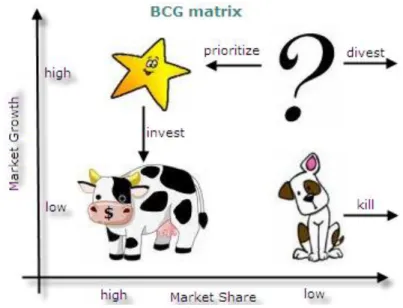 Gambar 1. Boston Consulting Group  Matrix 