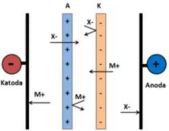 Gambar 1. Skema proses elektrodialisis. A : membran  selektif anion; K : membran selektif kation; M +  : kation 