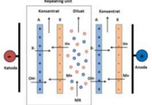 Gambar 3. Struktur dan fungsi membran bipolar untuk  disosiasi H 2 O. BP : membran bipolar; H +  : ion hidrogen 