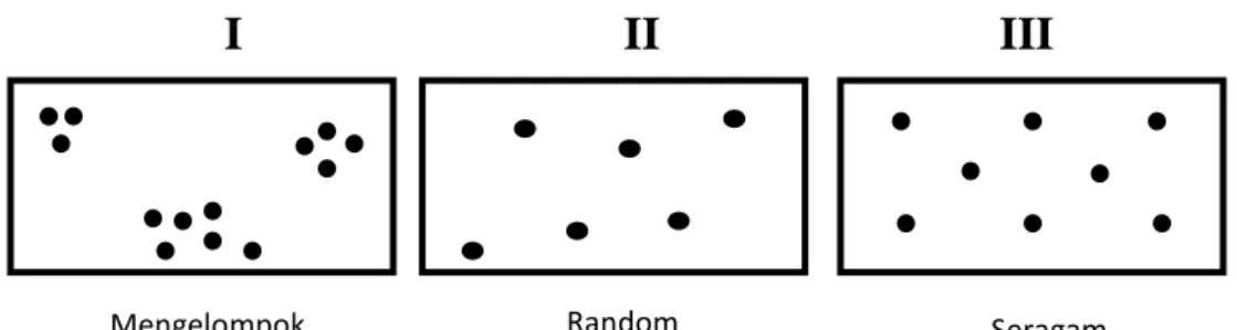 Gambar 1.1. Ilustrasi pedekatan analisis tetangga terdekat 