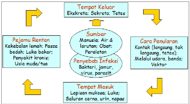 Gambar 2.2. Rantai penularan HAIs 