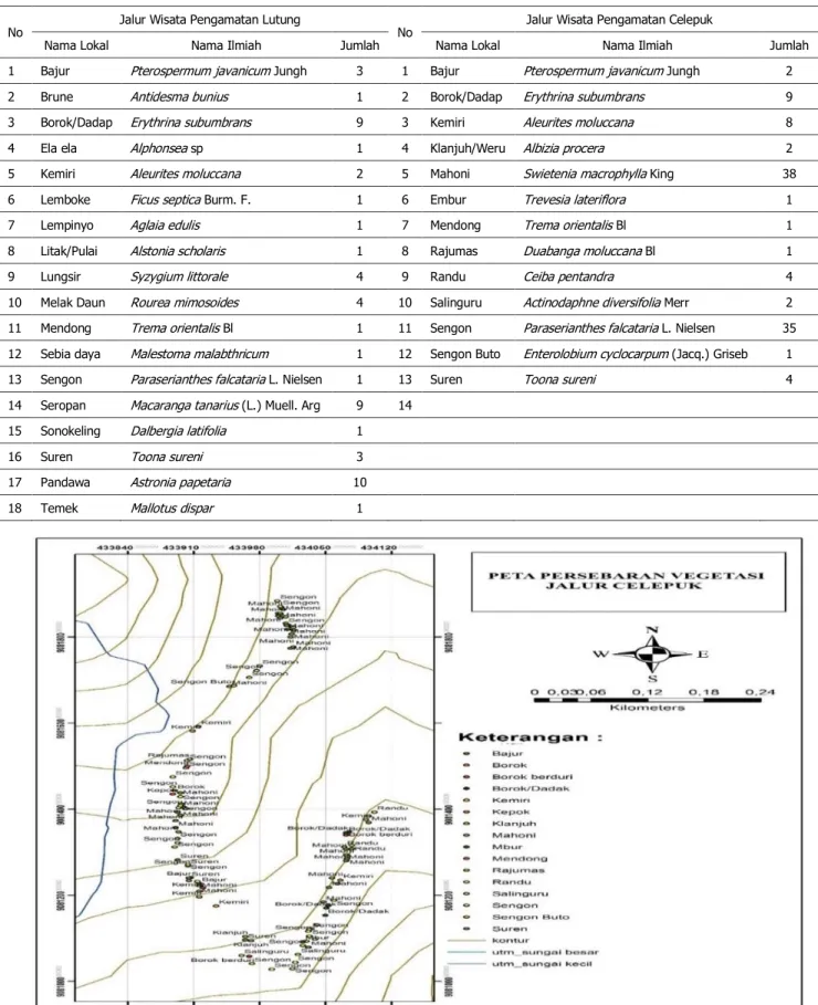 Gambar 1. Peta Persebaran Vegetasi Pada Jalur Celepuk Rinjani 