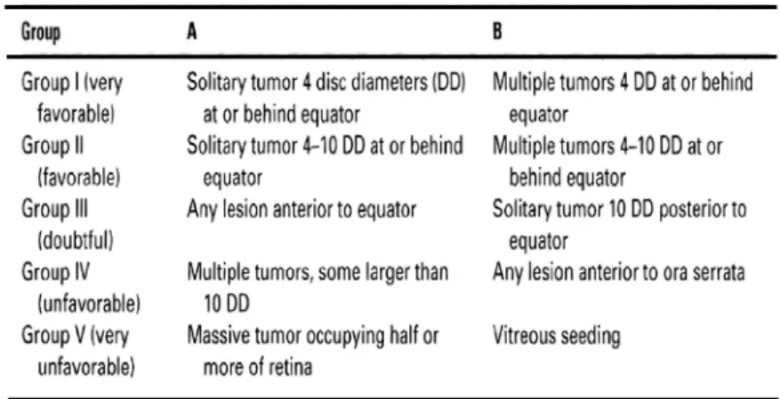 Tabel 3. Reese-Ellsworth classification of retinoblastoma 