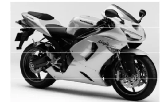 Gambar 1.  Sepeda motor Kawasaki Ninja  RR Sport 