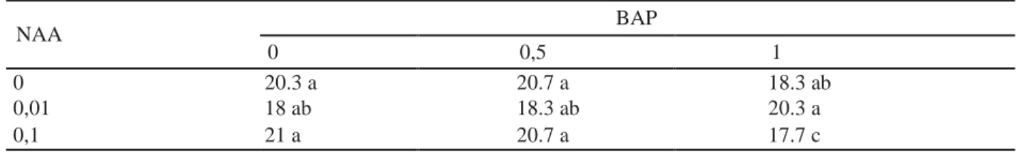 Tabel .3. Perhitungan Duncan Multiple Range Test (DMRT) Rata-rata Induksi Kalus pada Eksplan Daun  NAA  BAP  0  0,5  1  0  20.3 a  20.7 a  18.3 ab  0,01  18 ab  18.3 ab  20.3 a  0,1  21 a  20.7 a  17.7 c 