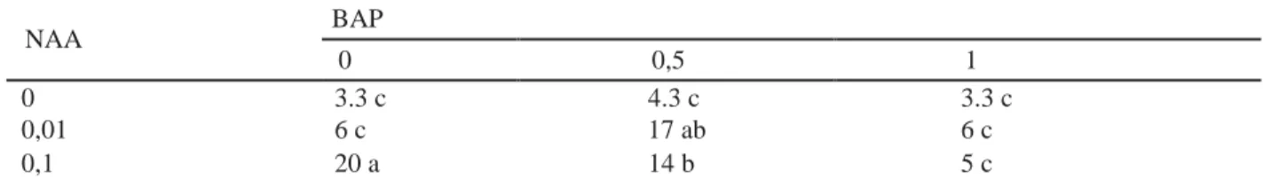 Tabel 10. Perhitungan Duncan Multiple Range Test (DMRT) Rata-rata Jumlah akar pada Eksplan Batang  NAA  BAP  0  0,5  1  0  3.3 c  4.3 c  3.3 c  0,01  6 c  17 ab  6 c  0,1  20 a  14 b  5 c 