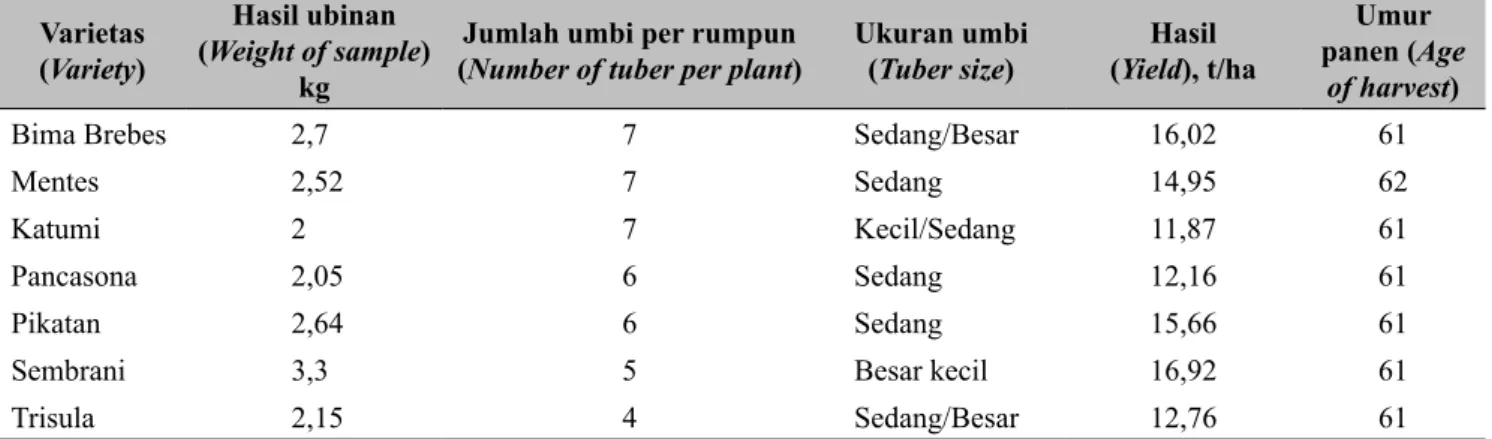 Tabel 3.  Hasil ubinan varietas bawang merah dari Balitsa di Desa Randusari Brebes (Sample weight of  shallot varieties from Ivegri in Randusari Village, Brebes) 