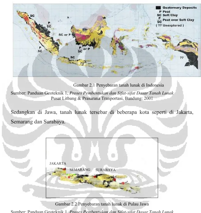 Gambar 2.1 Penyebaran tanah lunak di Indonesia  Sumber: Panduan Geoteknik 1, Proses Pembentukan dan Sifat-sifat Dasar Tanah Lunak 