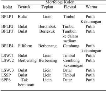 Tabel 1. Karakteristik Morfologi Bakteri Pendegradasi Lipid                Morfologi Koloni  