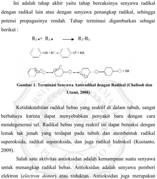 Gambar 1. Terminasi Senyawa Antiradikal dengan Radikal (Cholisoh dan Utami, 2008)